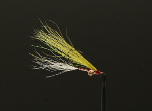 Tying a Clouser Minnow