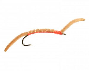 San Juan Worm
