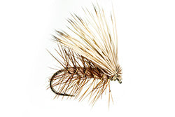 Elk Hair Caddis