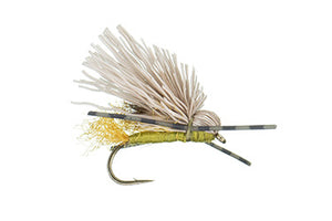 Galloup's Butch Caddis