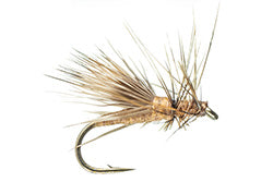 Galloup's Goober Caddis