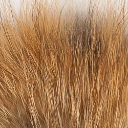 Natural Red Fox - East Rosebud Fly & Tackle