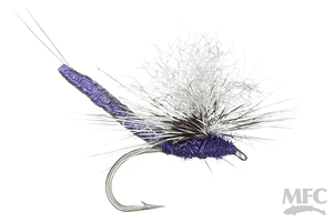 On Point Para Wulff - Purple