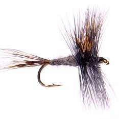Grey Wulff - East Rosebud Fly & Tackle