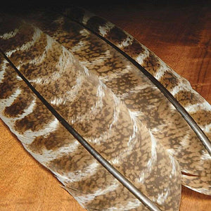 Ozark Oak Mottled Turkey Quills - East Rosebud Fly & Tackle