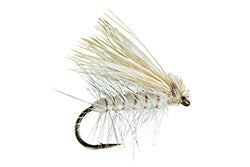 Spruce Moth