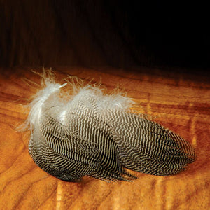 Gadwall Feathers - East Rosebud Fly & Tackle