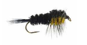 Montana Nymph