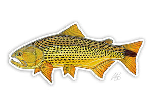 Golden Dorado Decal