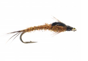 Bighorn BWO