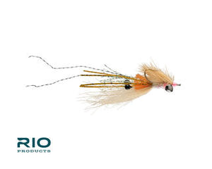 Rio's Spawning Shrimp