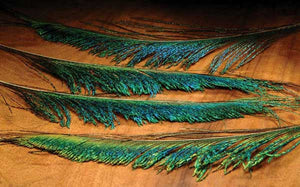 Peacock Swords - East Rosebud Fly & Tackle