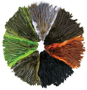 Zonked Pine Squirrel Skin