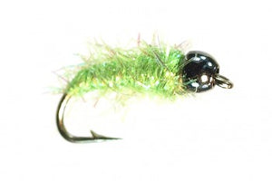 Bloom's TB Caddis