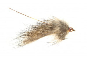 Pine Squirrel Leech