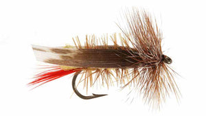 Joe's Hopper