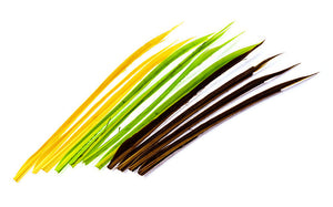 Turkey Biots - East Rosebud Fly & Tackle