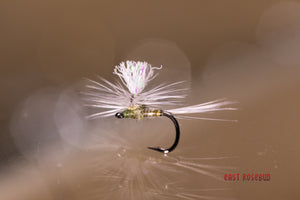 Dave's Parachute BWO