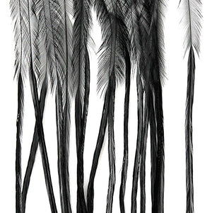 MFC - Whiting 100 Pack