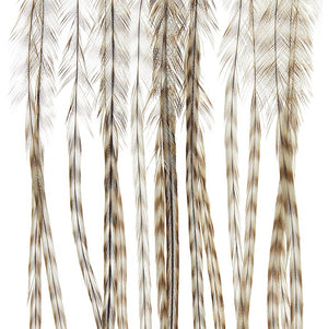 MFC - Whiting 100 Pack