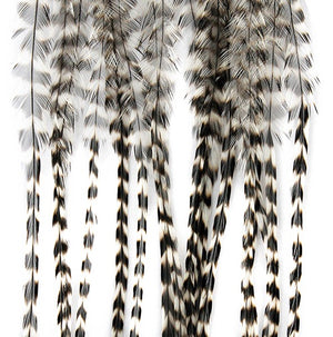 MFC - Whiting 100 Pack