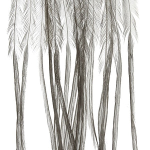 MFC - Whiting 100 Pack