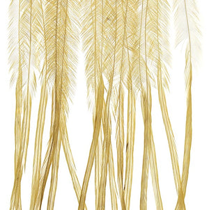 MFC - Whiting 100 Pack