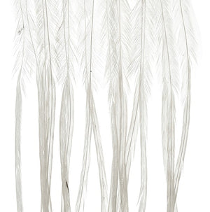 MFC - Whiting 100 Pack