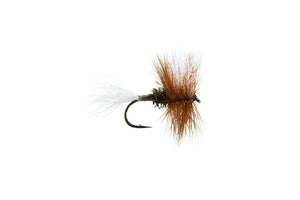 Dry Fly Sale (Box of 12)