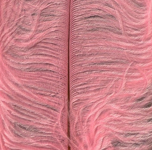 Natures Spirit Ostrich Plume