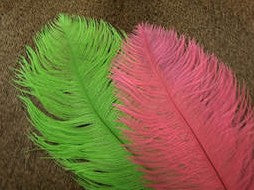 Natures Spirit Ostrich Plume