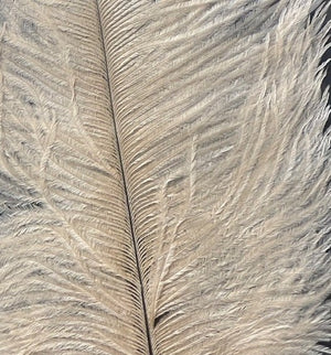 Natures Spirit Ostrich Plume