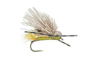 Dry Fly Sale (Box of 12)