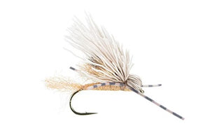 Dry Fly Sale (Box of 12)