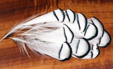 Lady Amherst Tippets