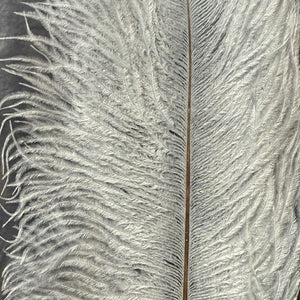 Natures Spirit Ostrich Plume