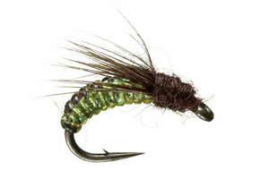 Silverman's Caddis Larva