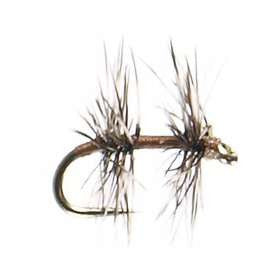 Fore & Aft - East Rosebud Fly & Tackle