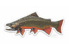 Brook Trout Decal - Casey Underwood Artwork – East Rosebud Fly & Tackle
