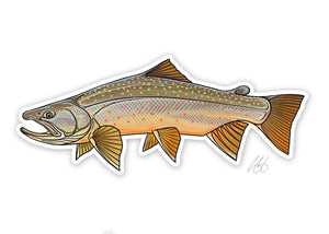 Bull Trout Decal