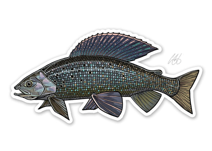 Grayling Decal