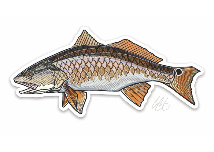 Red Fish Sticker, Soldierfish Vinyl Vintage Stickers, Bumper Sticker,  Laptop Decals Outdoor Nonfade Glass Goldfish Snapper Fishing Decal 