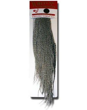 Whiting Midge 1/4 Saddle - Bronze Grade