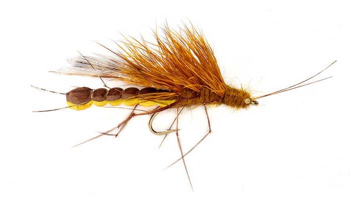 McPhail Adult Stonefly