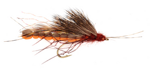 McPhail Adult Stonefly