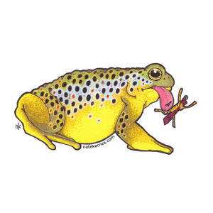 Brown Trout Toad Decal - East Rosebud Fly & Tackle - Free Shipping, No Sales Tax