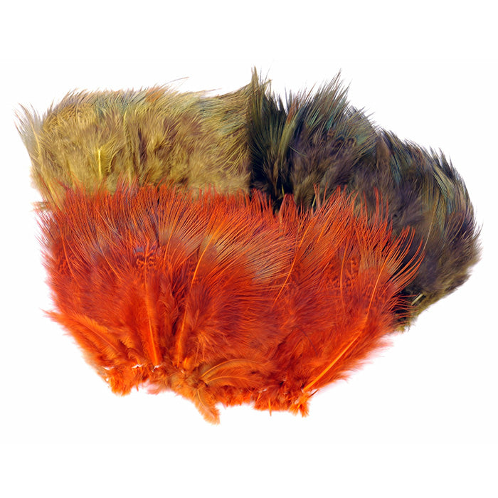 Ringneck Rump Feathers