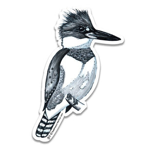 Kingfisher Sticker - East Rosebud Fly & Tackle