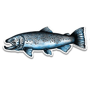 Brown Trout Sketch Sticker - East Rosebud Fly & Tackle