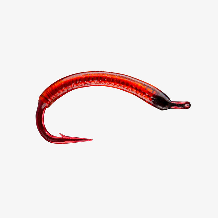 Red Bloodworm